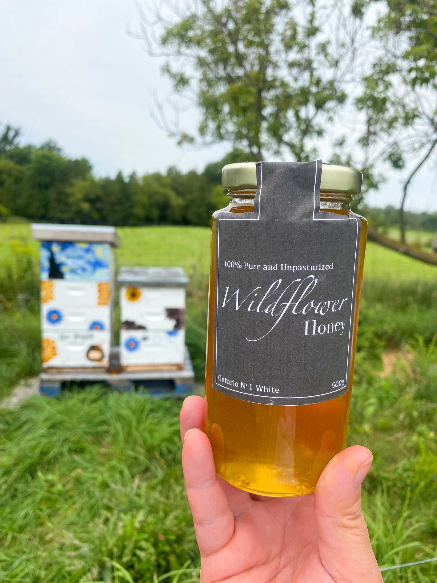 Clear Raw Honey