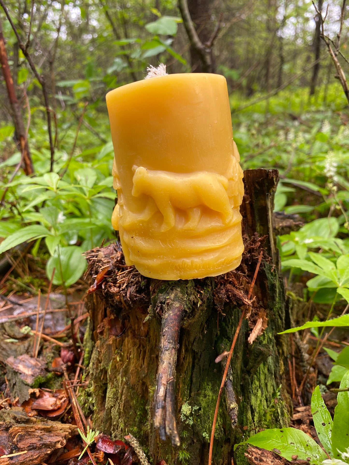 Mother Bear Pillar Candle