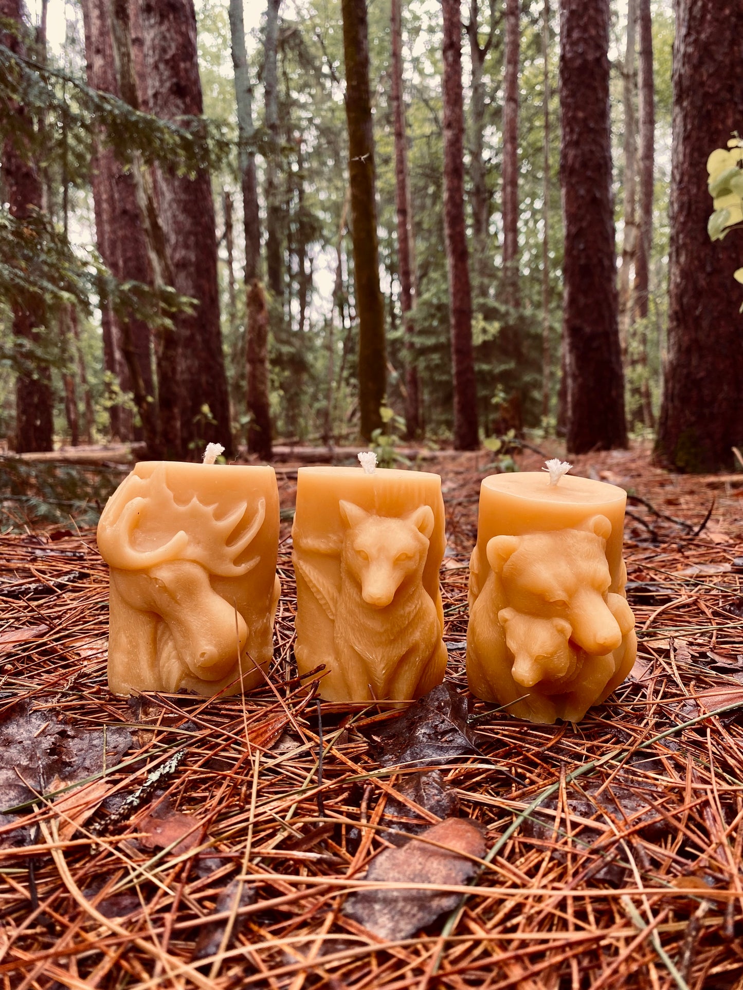 Wildlife Pillar Candle Set