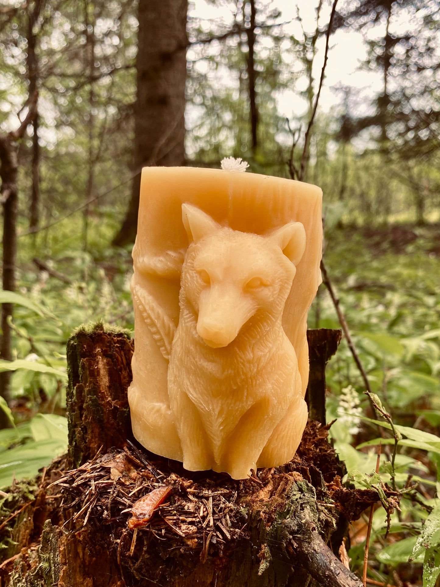 Lone Wolf Pillar Candle