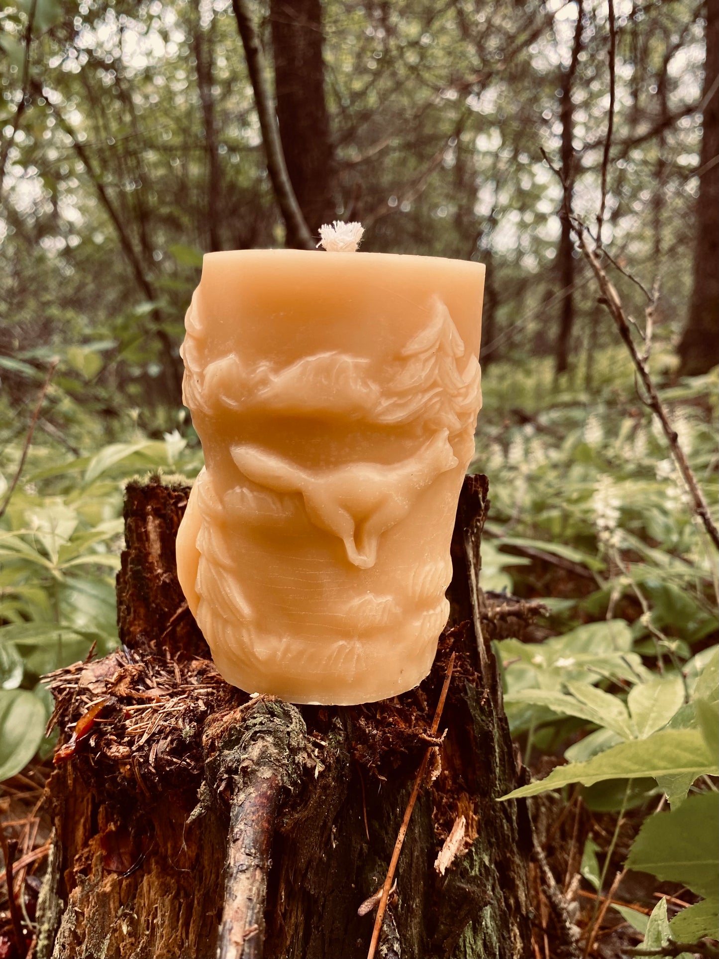 Lone Wolf Pillar Candle