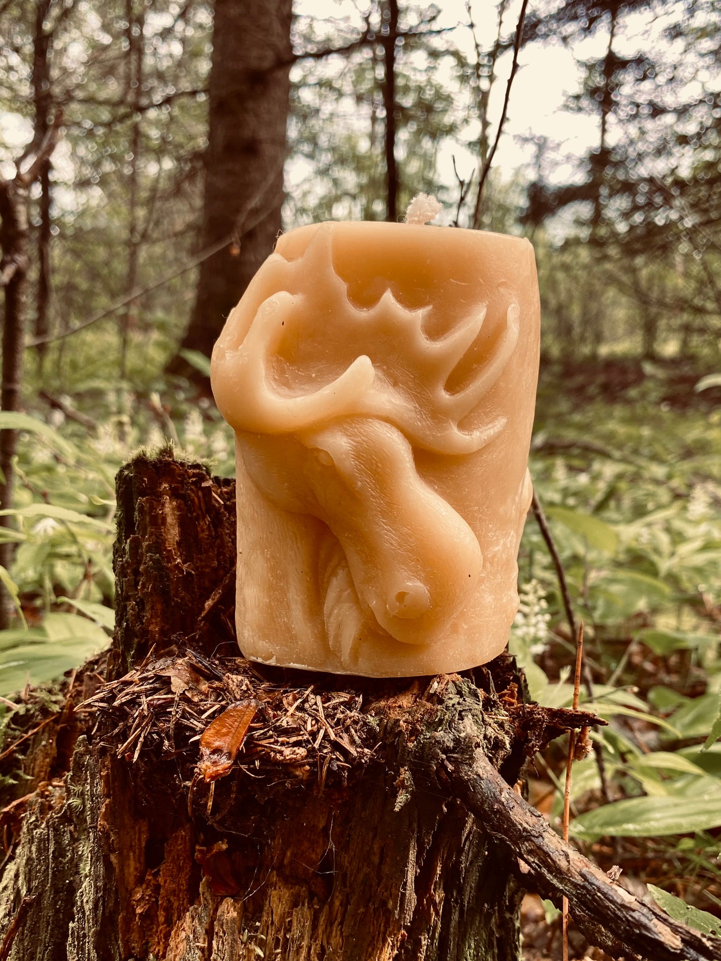 Moose Pillar Candle