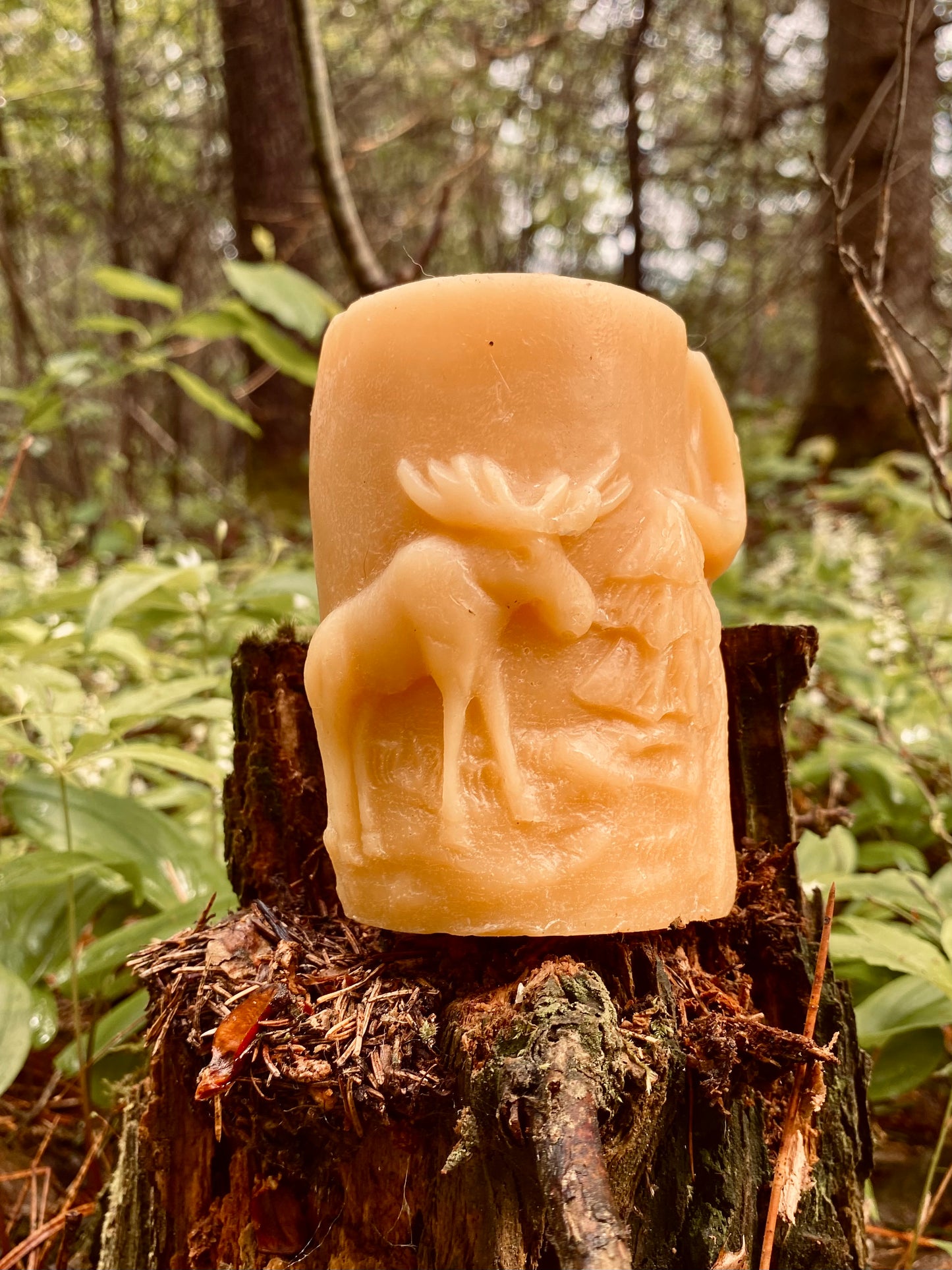 Moose Pillar Candle