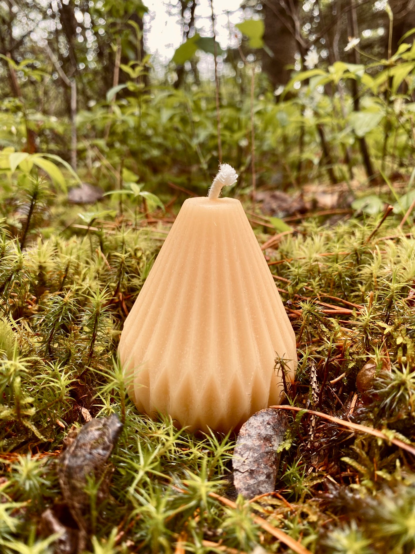 Fluted Vase and Pear Candle Combo