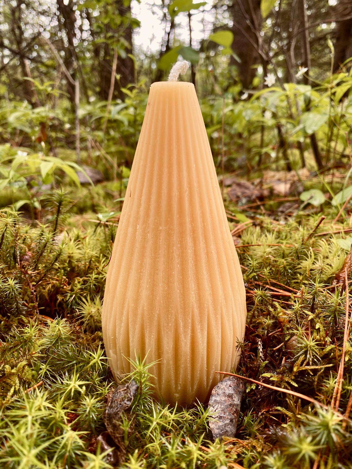 Fluted Vase and Pear Candle Combo