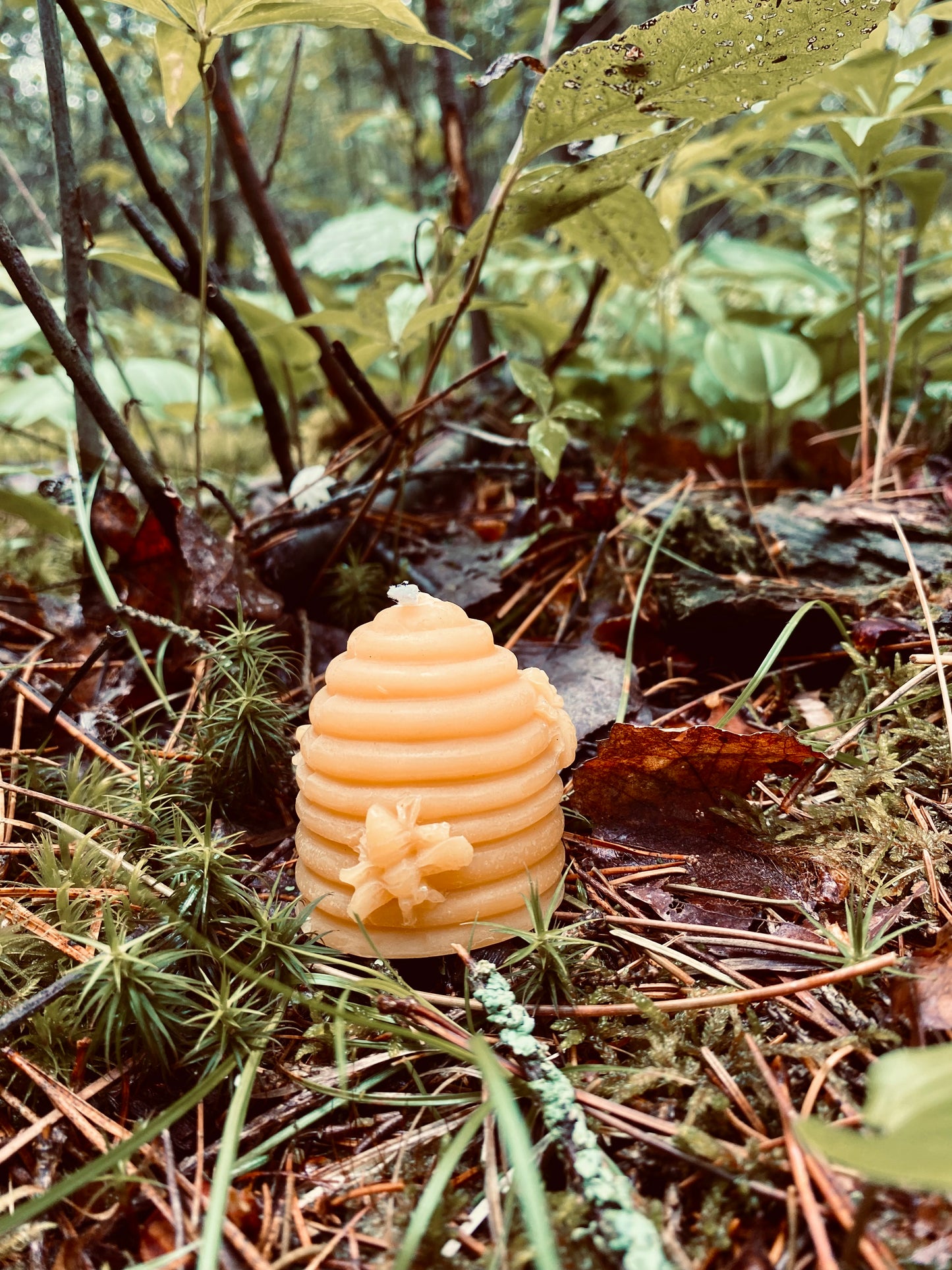 Beehive Beeswax Candle